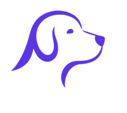 Messego assistant